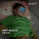 2026년 오산시 어린이 자전거대회(장단점과 꿀팁)