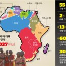 (주)아프리카 이미지