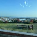 초롱블루펜션 | 제주도 4박 5일 효도 여행 둘째날 우동 카덴 방문기!