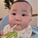 베지밀 | 베지밀 인펀트 프리미엄 후기｜7개월 아기 처음 먹여본 성장기용 조제식