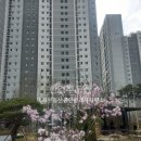 동남미래공인중개사사무소 이미지