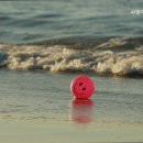 사랑마루요양원충주점 이미지