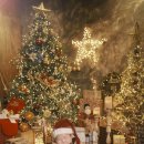 용호1로5번길 이미지