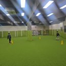 강서안전교육센터 | 솔뫼축구센터 강서염창점 – ‘황희찬반’ 수업 후기!