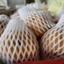 웰빙영농조합 농장 이미지