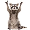 1112 | 🍁1112❄️