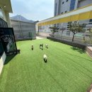 대곡유치원 이미지