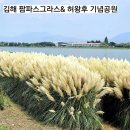 수로왕릉광장(방범폴) | 김해 서낙동강 팜파스그라스 만개상황과 미완성인 허왕후 기념공원 돌아본 후기 주차와 대중교통정보