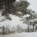 동두천-006 Daum카페
