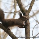 맥가이버 이미지