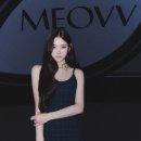 테디 이미지
