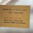 리애 | 안덕면 맛집 제주 돈가스 터틀리애 방문 후기