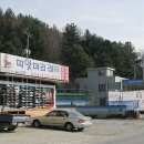 띠앗머리 Daum카페
