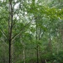 별천지공원-2 이미지