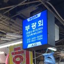 부광회 이미지