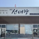 제주선채향 이미지