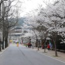 증심사길 이미지