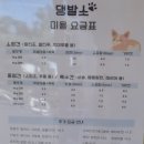 댕발소 이미지