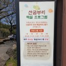 꺽쇠 in 제주, 어쩌다 가게 된 산굼부리 돌아본 후기(Feat 미친 꺽쇠, 2020년 4월)