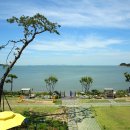 마시란로 이미지