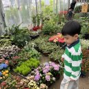 정유찬의 주말이야기 이미지