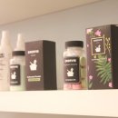 그루밍공화국 이미지