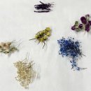 부산진여자중학교 이미지