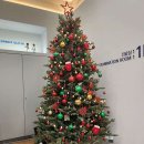 은승표코리아정형외과의원 이미지