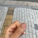 은빈농장 이미지