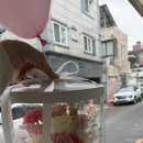 누벨르케이크
