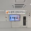 파프리카안경 수영점 | 부산 수영역 깔끔하고 친절한 주짓수 체육관, 펀투 주짓수 후기