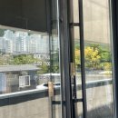[거제/카페] 애완동반 브런치 카페 인더스하버