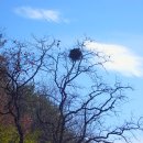 원효유치원 이미지