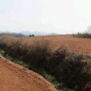 금동회관 이미지