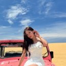 해피버스투어
