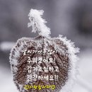 1월 25일 (목요일) 아침인사~ 이미지