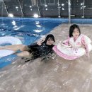 다이노 꽃밭에서 | 경남 고성 펜션 수영장 있는 고성공룡박물관 근처 신축 숙소 다이노꽃밭에서