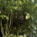 현풍농장 이미지