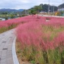 하단동1142 이미지