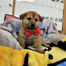 안골로108번길 이미지