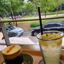 카페테드 네이버블로그