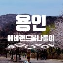 (주)인피니티미디어 | 용인 에버랜드 봄나들이 | 연간회원권으로 즐기는 알짜 주말코스