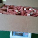 용포 농장2 이미지