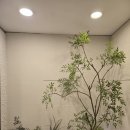 노원역(4호선) | 네이처헤어 노원역점 후기, 노원미용실 가볼 만한 이유