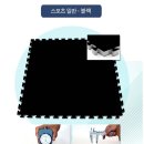 엘림 체육관 이미지