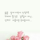 봉한 Daum카페