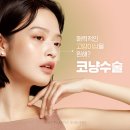 서울라인성형외과의원 | 코냥수술로 완성하는 예쁜 코라인, 니트성형외과 후기