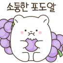 엘마트개운점