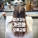 성균관대역 인근 | 수원 율전동 링거펌 성균관대역 40대 뿌리볼륨 살린 원장 직접 시술 후기