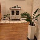 잠실중앙상가 | 잠실얼굴마사지 경락 안면교정비대칭 예뻐지는 위뷰티 잠실점(feat. 승모근케어로 직각어깨만들기)